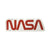 NASA Worm Chunky Wood Magnet