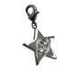 Swarovski NASA Star Charm - SALE-34946948628533