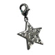 Swarovski NASA Star Charm - SALE-34946948530229