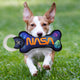 NASA Pet Dental Toy-34219946868789