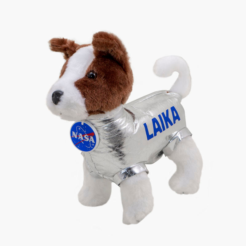 dog in space apollo